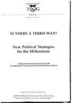 Is There a Third Way? New Political Strategies for the Millennium