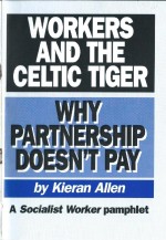Workers and the Celtic Tiger: Why Partnership Doesn’t Pay