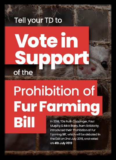 Tell your TD to Vote in Support of the Prohibition of Fur Farming Bill