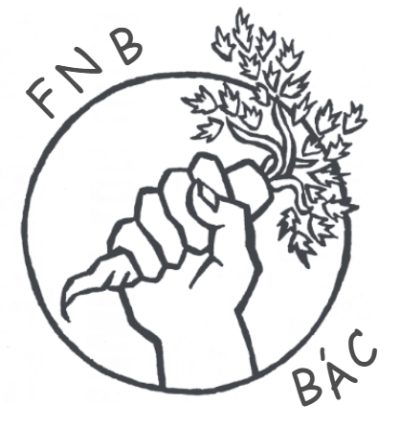 Dublin Food Not Bombs